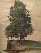 Albrecht Durer Linden Tree on a Bastion oil painting